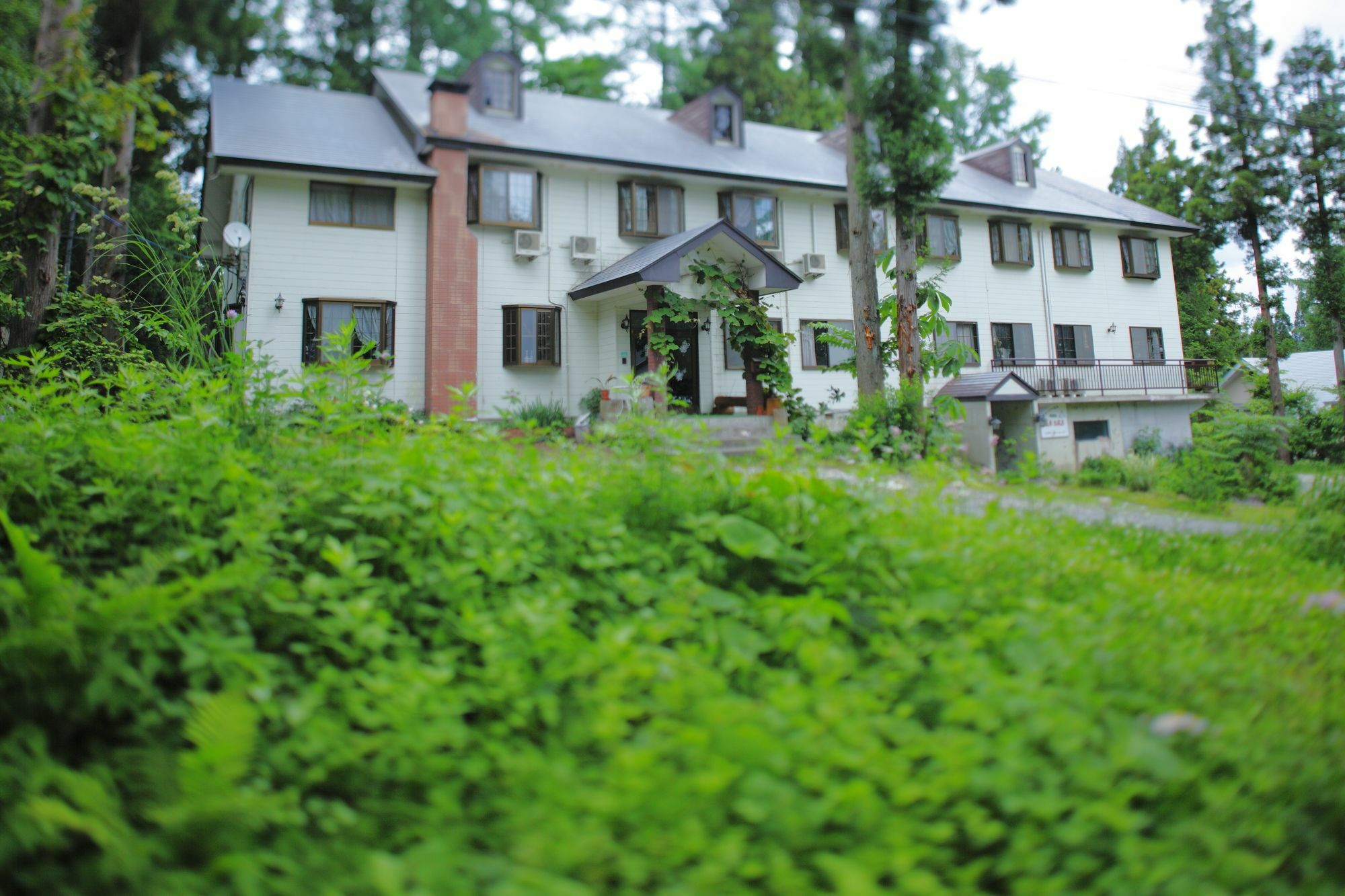 Hakubagoryu Pension&Logcottage Arumu Экстерьер фото